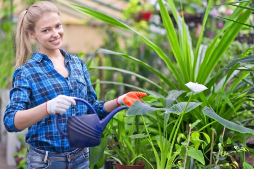 Beautiful London garden maintained by professionals