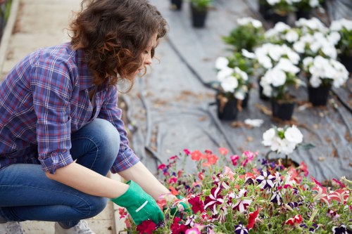 Eco-friendly garden practices in a London landscape