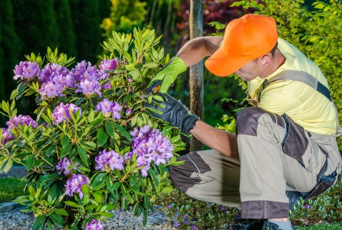 Expert landscapers designing a beautiful garden in London