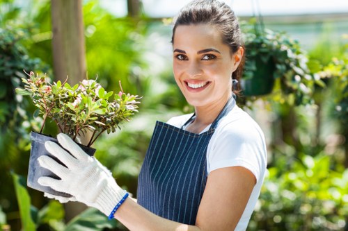 Tools used by professionals for hedge trimming