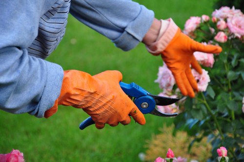 Eco-friendly lawn care practices being implemented
