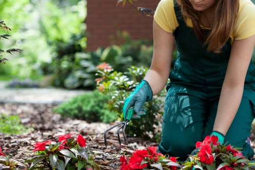 Healthy green lawn maintained by experts