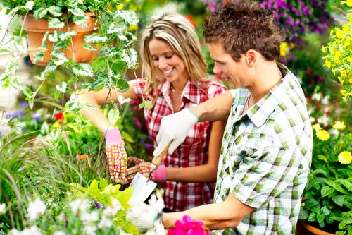 Professional landscaper working on a garden design