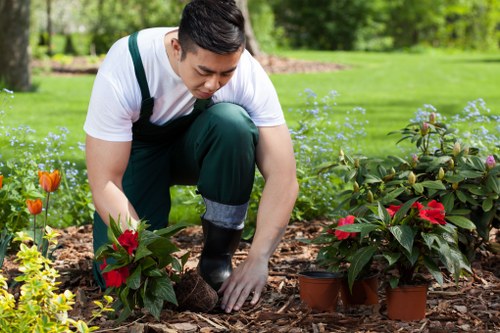 Professionals performing lawn care in a London garden