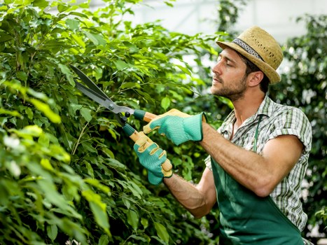 Eco-friendly garden with native plants in London