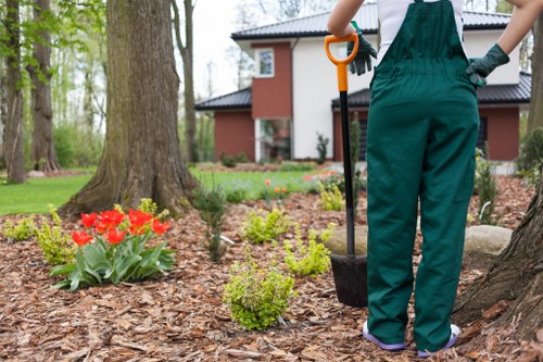 Landscaping team clearing garden debris