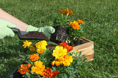 Professional landscaping services transforming London outdoor spaces