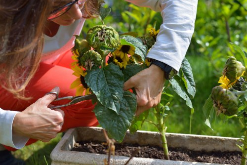 Volunteers and charity partners collecting reclaimed planters for reuse